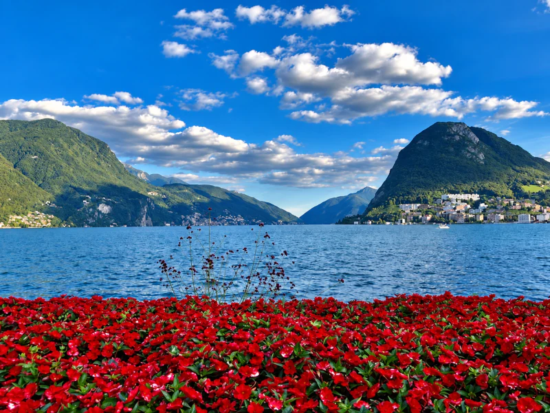 Between lake and mountains