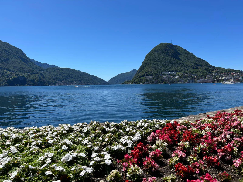 Luganersee und Monte San Salvatore vom blumengesäumten Ufer
